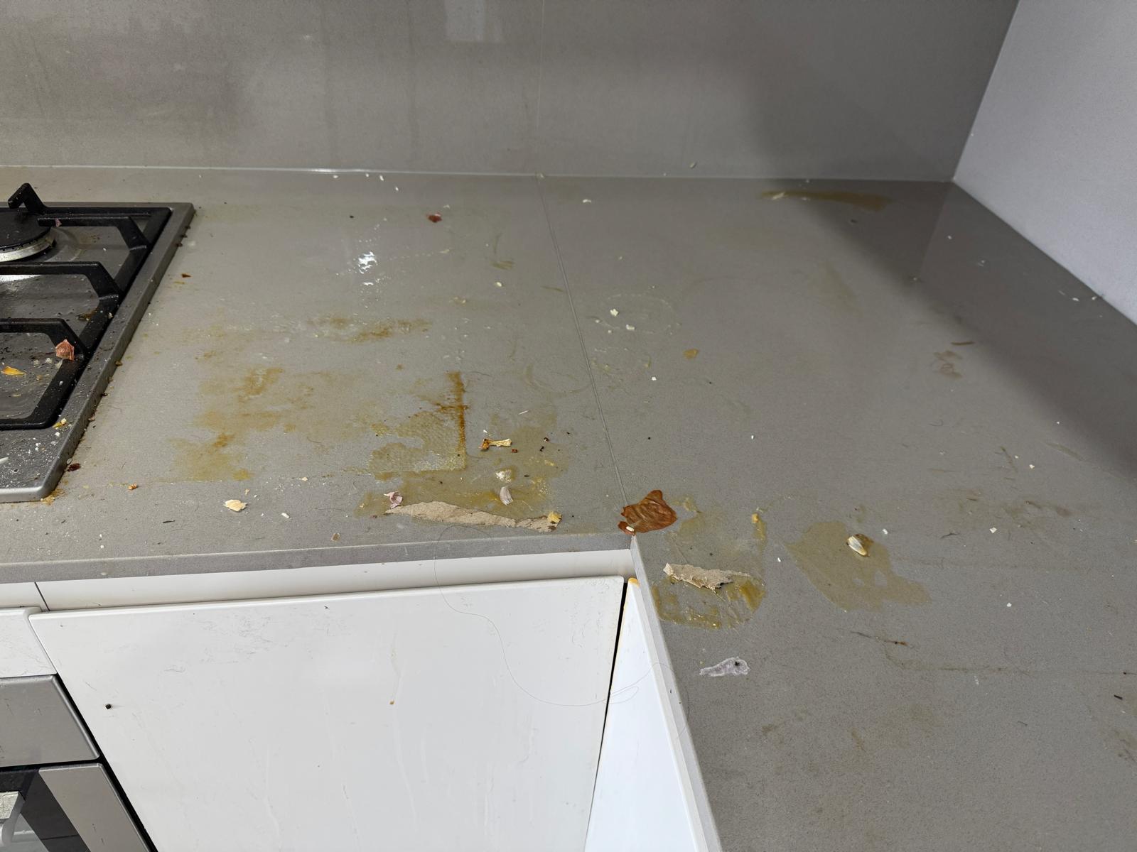Sydney end of lease cleaning results — project 16 — before end of lease cleaning, Crazy Cleaning Sydney
